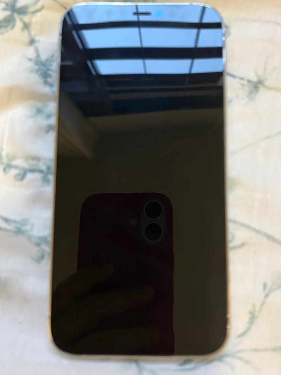 iPhone 12 Pro
