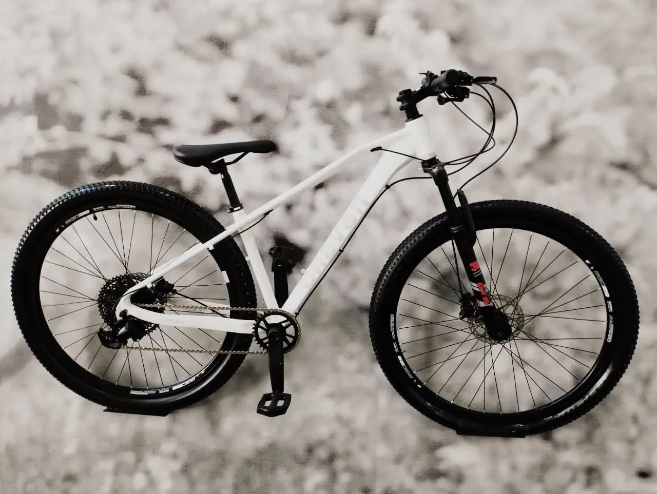 Bicicleta aro 29 
