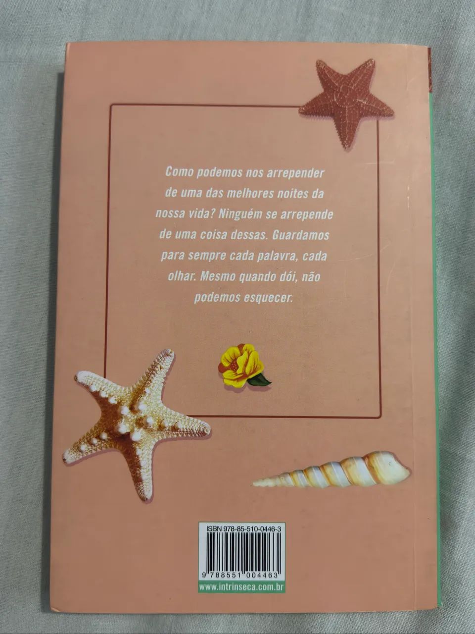 Sem você não é verão  - Foto 2