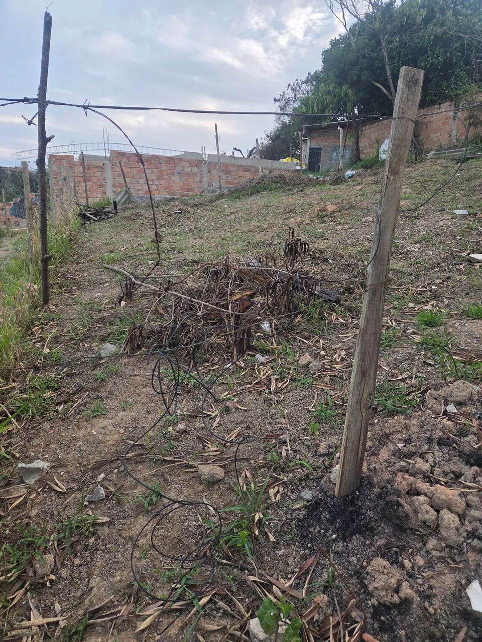 Lote - Foto 3