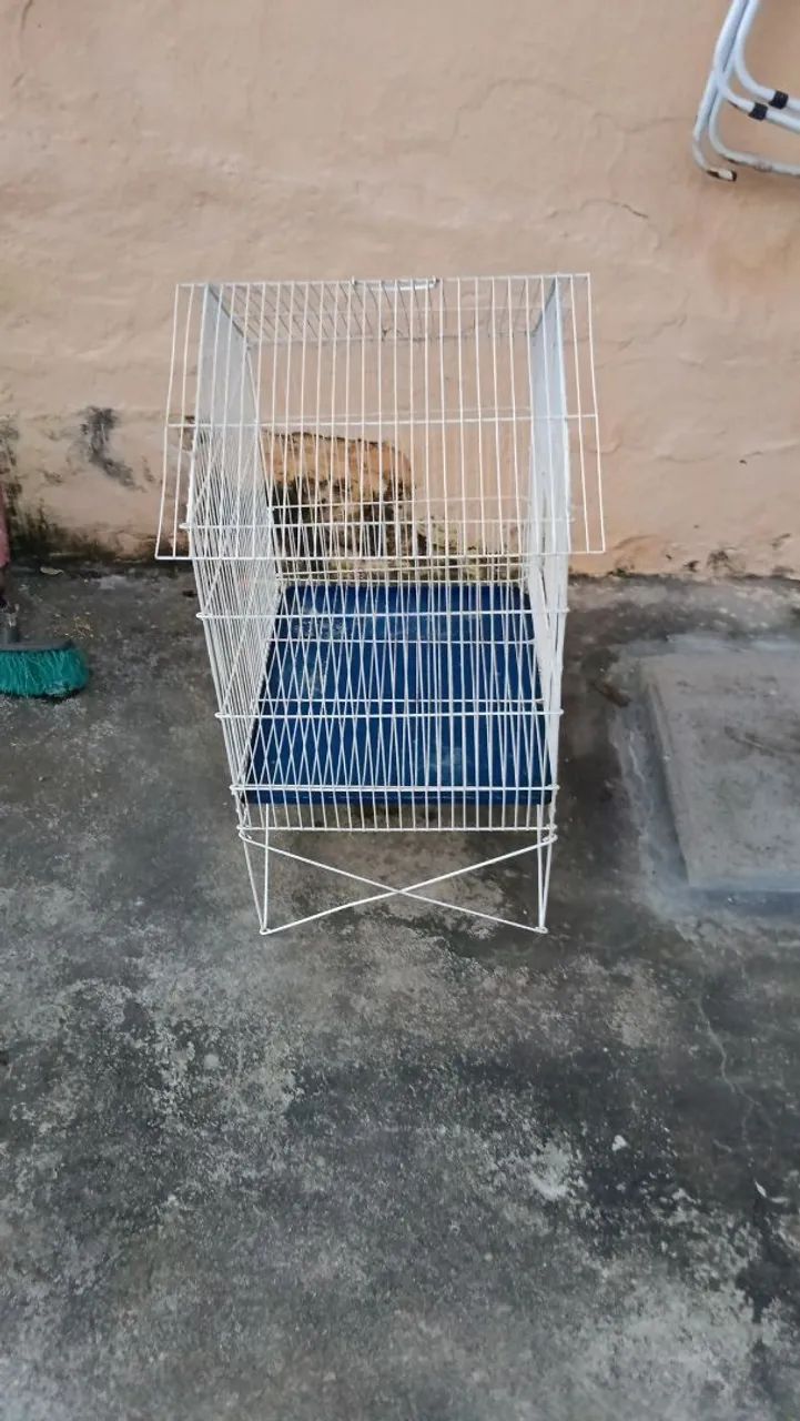 Gaiola para passarinhos - Foto 2