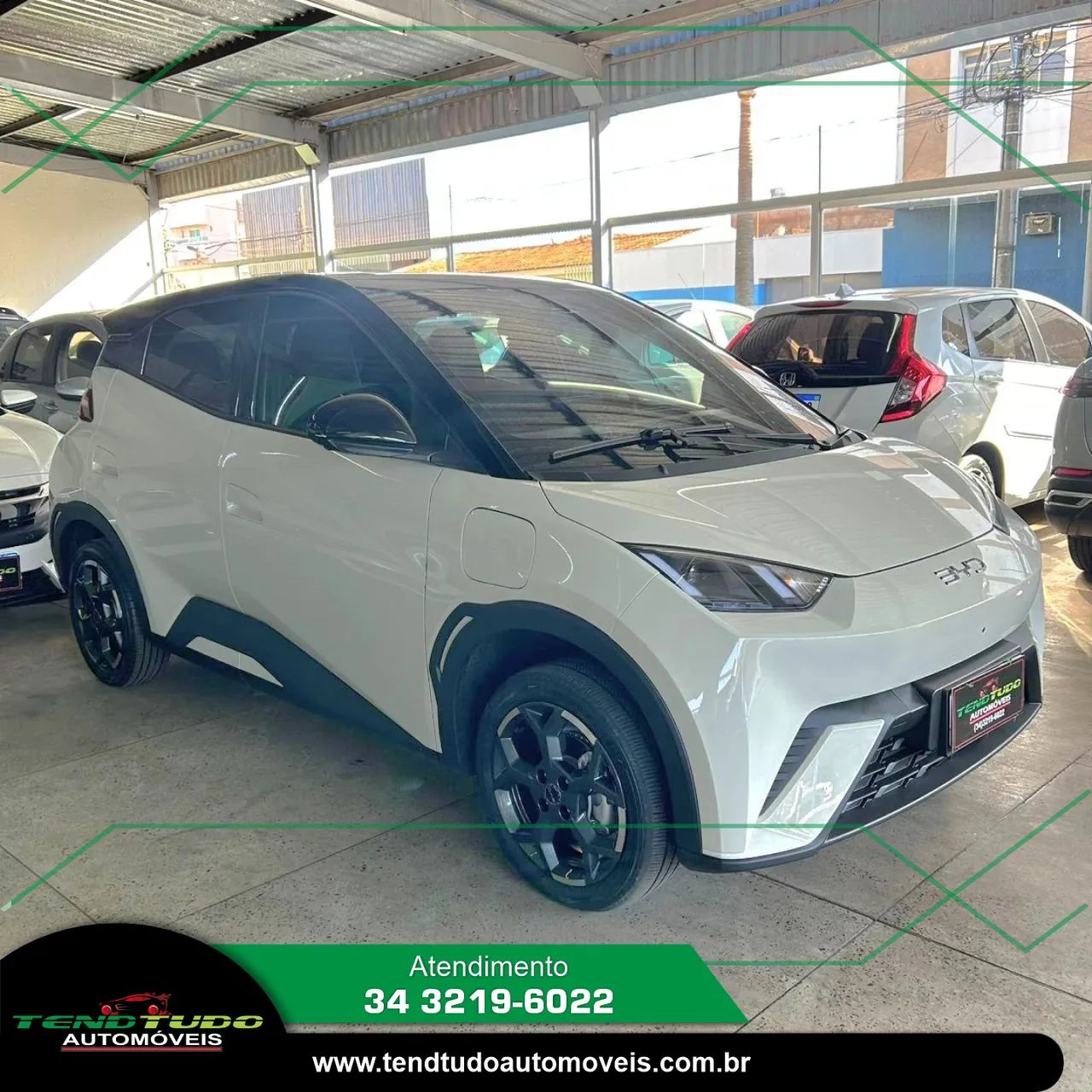 BYD Dolphin Mini (Elétrico) 2026 - Foto 2