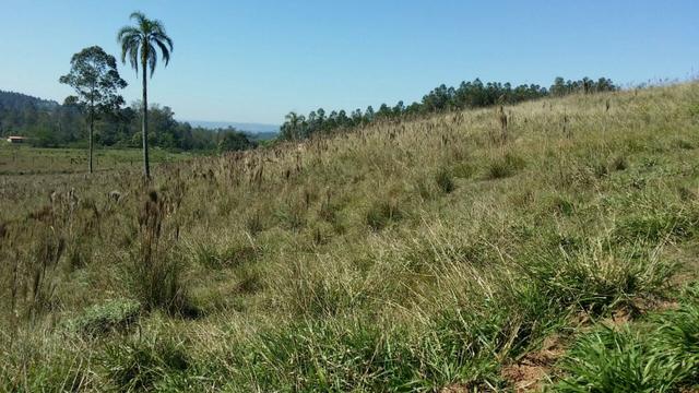 Condomínio de chácaras em Sapiranga - Vivendas do Campo - Foto 16