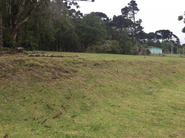 Terreno à venda, 680 m² por r$ 618.338,53 - centro - canela/rs - Foto 4