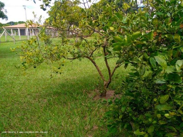 Chacara paineiras imobiliaria leal imoveis 3903-1020 plantão todos os dias * - Foto 8