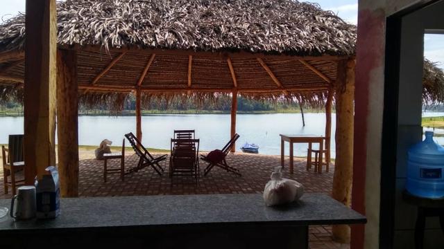 Vendo uma chácara com 4 hectares no lago do manso para lazer - Foto 12