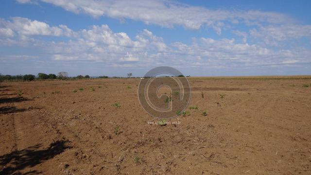 Fazenda à venda, 978 ha, região do manso - Foto 13