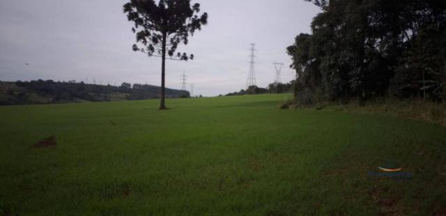 Sítio à venda, 387200 m² por R$ 3.891.200 -