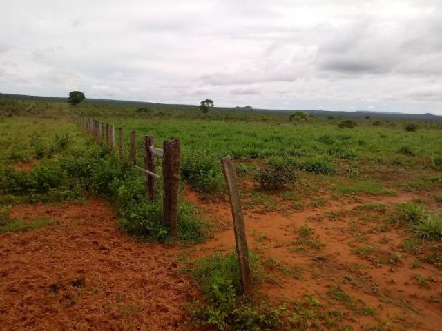 Fazenda 1.940 hectares na Estrada do Manso a 50 km de Cuiabá - Foto 10