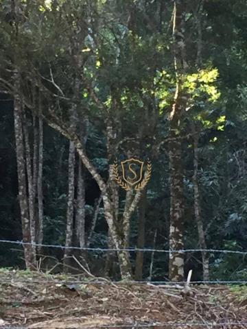 Terreno à venda, 5400 m² por r$ 400.000 - parque do ingá - teresópolis/rj
