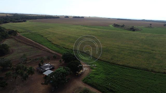 Fazenda à venda, 978 ha, região do manso - Foto 3