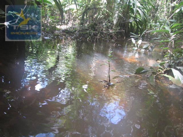 Piraquara chácara 64.471,25 m² planta deodoro infinitas possibilidades dentro da cidade ch - Foto 12