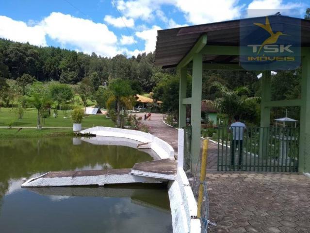 Ch0275 chácara areia branca mandirituba, frente asfalto, linda propriedade - Foto 14