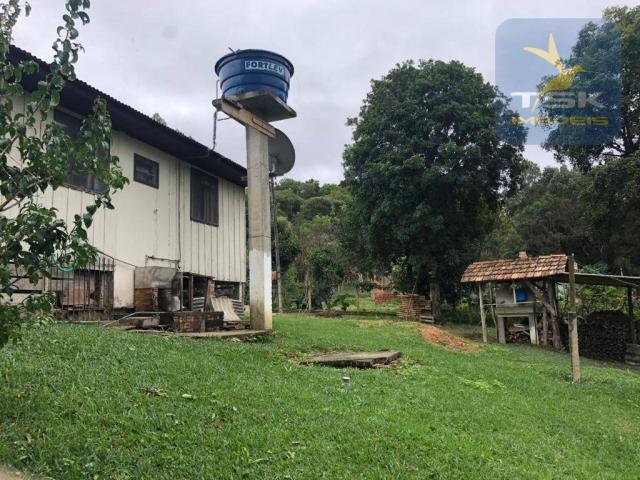 Chácara à venda, 6.957 m² por r$ 175.000 - barco - mandirituba/pr - Foto 4