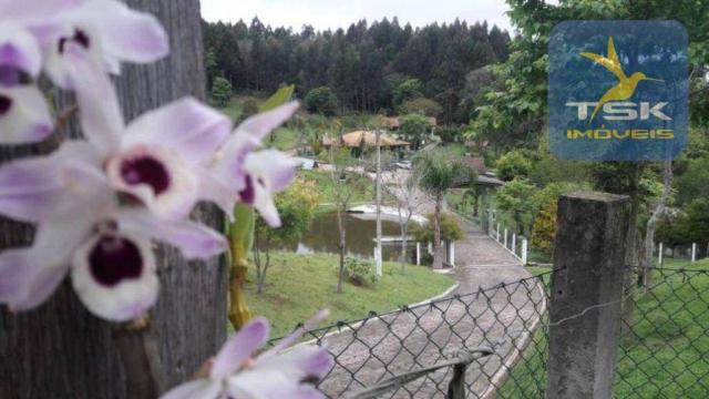 Ch0275 chácara areia branca mandirituba, frente asfalto, linda propriedade - Foto 18