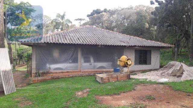 Ch0311 - mandirituba - chácara 10.000 m² com casa antes do pedágio - Foto 4