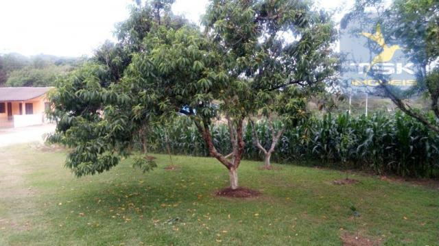 CH0317 - Mandirituba - 2 km de Areia Branca dos Assis 25.000 m² - Foto 17