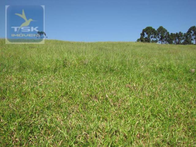 Ch0188 cerro azul chácara 12 alq. 57 km de curitiba/atuba - Foto 16