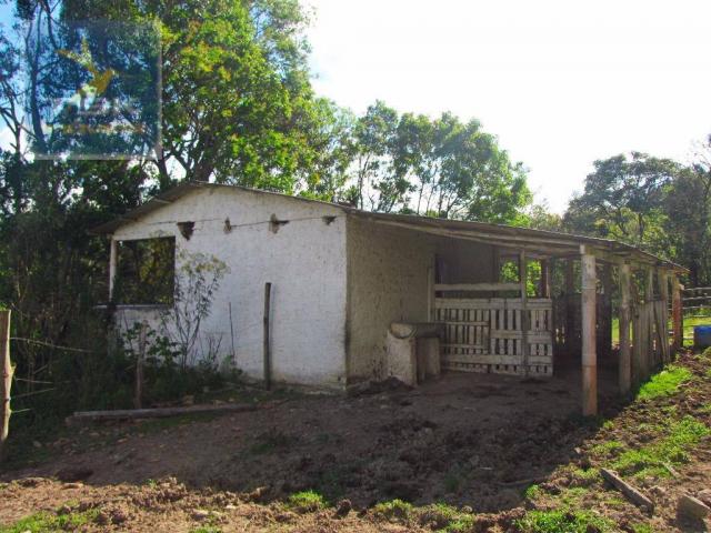 Ch0137 - chácara mandirituba 1 alq. 32 km de curitiba - Foto 17