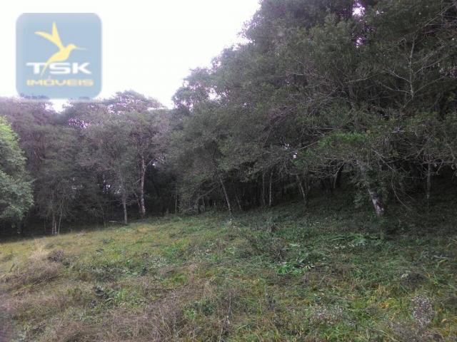 CH0300 - Chácara Agudos do Sul 12.100 m² 3 km da cidade - Foto 4