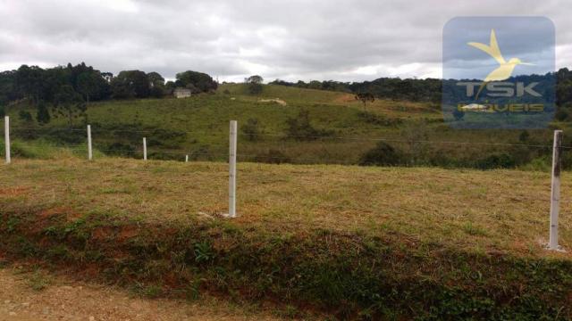 Ch0358 mandirituba 5.000 m², antes do pedágio, luz e riacho, cercada - Foto 3