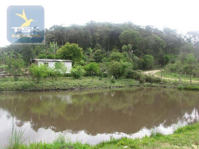 São josé dos pinhais chácara 15.000 m² aqui eu vou ficar ch0159 - Foto 3
