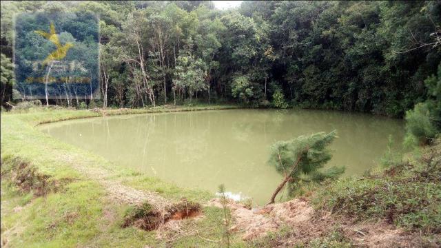 Chácara à venda, agudos do sul. ch0266 - Foto 15