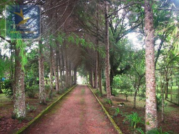Ch0177 - chácara agudos do sul 7.500 m² sobrado triplex uma nascente impressionante - Foto 3