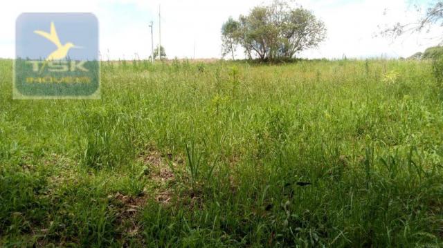 CH0314 Mandirituba 4.200 m² de área p/ Chácara com tanque luz 300 m asfalto - Foto 2