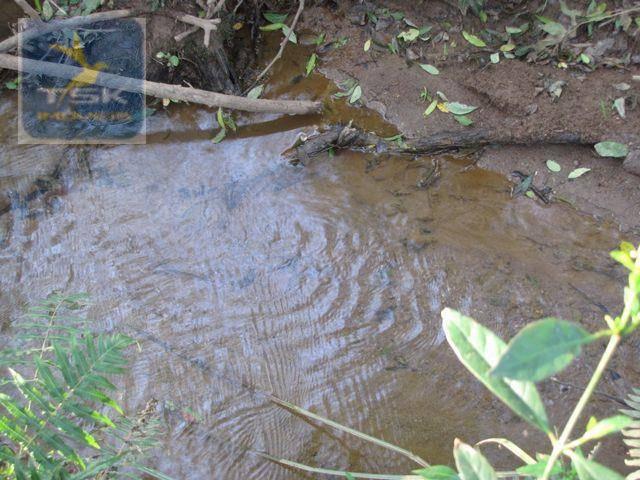 Ch0153 - contenda chácara 59.000 m² plana, rica em águas, parte com eucaliptos - Foto 9