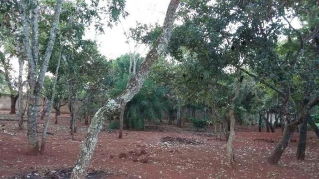 Chácara rural à venda, sítios de recreio mansões do campus, goiânia. - Foto 7