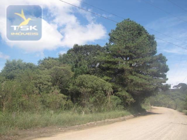 Piraquara chácara 64.471,25 m² planta deodoro infinitas possibilidades dentro da cidade ch - Foto 11