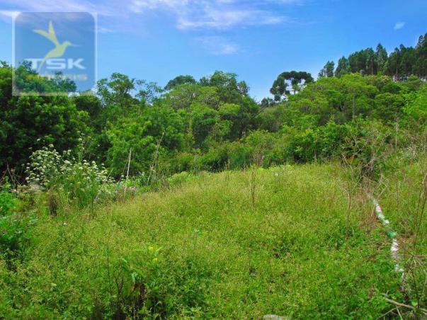 Chácara rural à venda, 4 pinheiros, mandirituba. - Foto 18