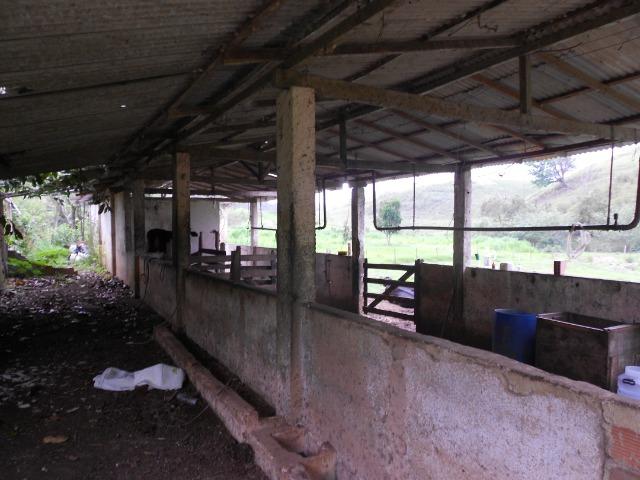 Jordão Corretores - Fazendinha leiteira 5 alqueires - Foto 8