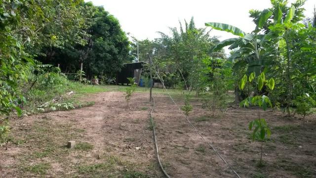 Chácara na Beira do Rio Cuiabá - Barranco alto II - Somente contrato de compra e venda - Foto 12