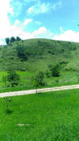 Fazenda em Biritiba Mirim - Foto 6