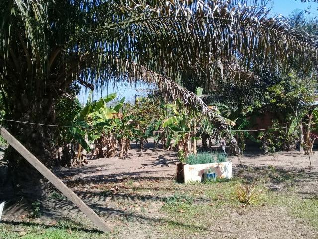 Chácara na Beira do Rio Cuiabá - Barranco alto II - Somente contrato de compra e venda - Foto 2