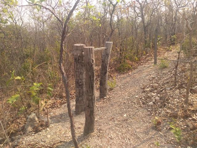 Vendo Sítio com 10 hectares à 23 Km de Cuiabá sentido Santo Antonio, - Foto 15
