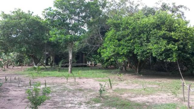 Chácara na Beira do Rio Cuiabá - Barranco alto II - Somente contrato de compra e venda - Foto 15