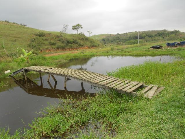 Jordão Corretores - Fazendinha leiteira 5 alqueires - Foto 7