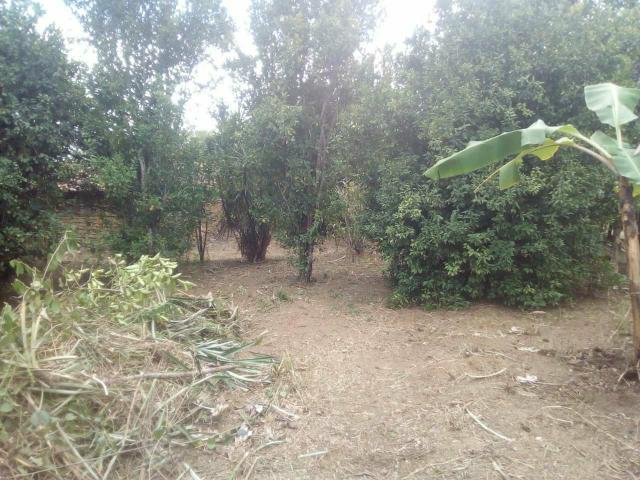 Vende- se - Foto 12