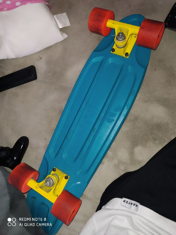Skate penny
