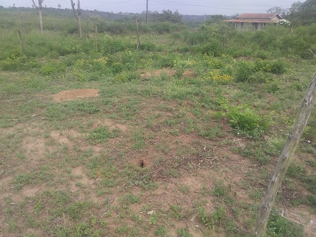 Vendo esse lote na estrada da candeia grossa no distrito da matinha 