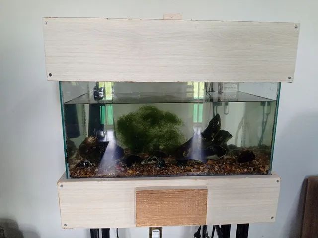 Aquario 54 litros