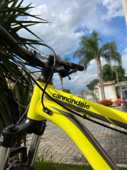 Bike Cannondale Trail 6 