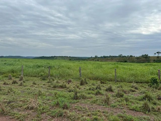 Fazenda em Ponte Alta. Pecuária. Top. - Foto 3