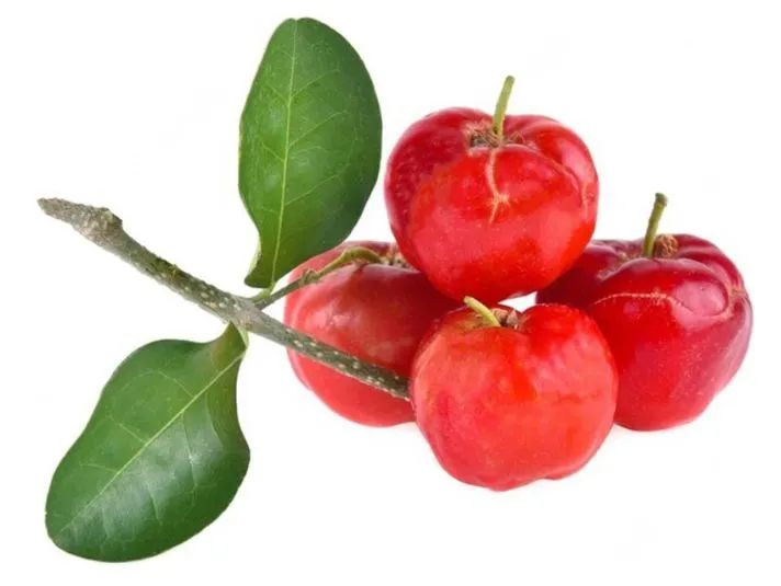 1Muda de Acerola -manoasweet - Foto 2