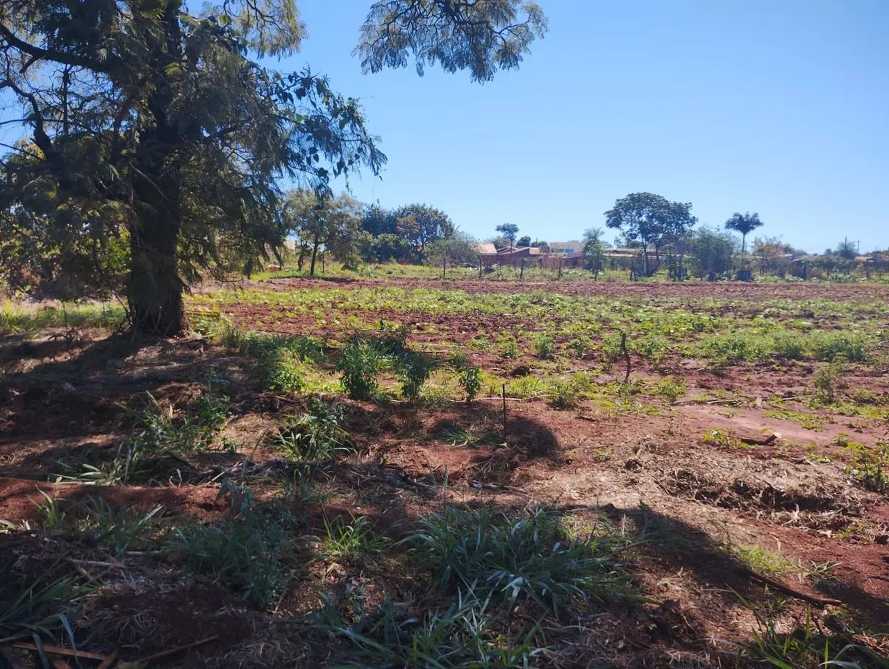 ÁREA 8.800 M2 OCASIÃO  - Foto 5
