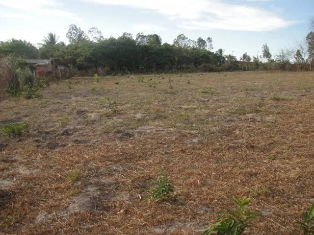 TERRENO/ SITIO MULTIRÃO SÃO JOSE DE RIBAMAR. 42X84, TOTALIZANDO 3.528 METROS QUADRADOS.