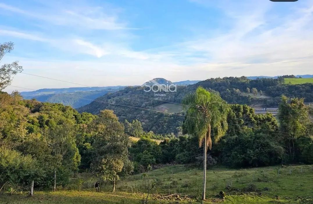 2 hectares com vista privilegiada  - Foto 2